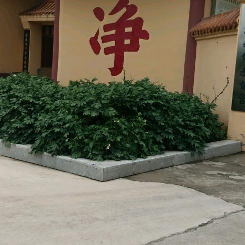 笑看人生