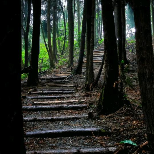 小武