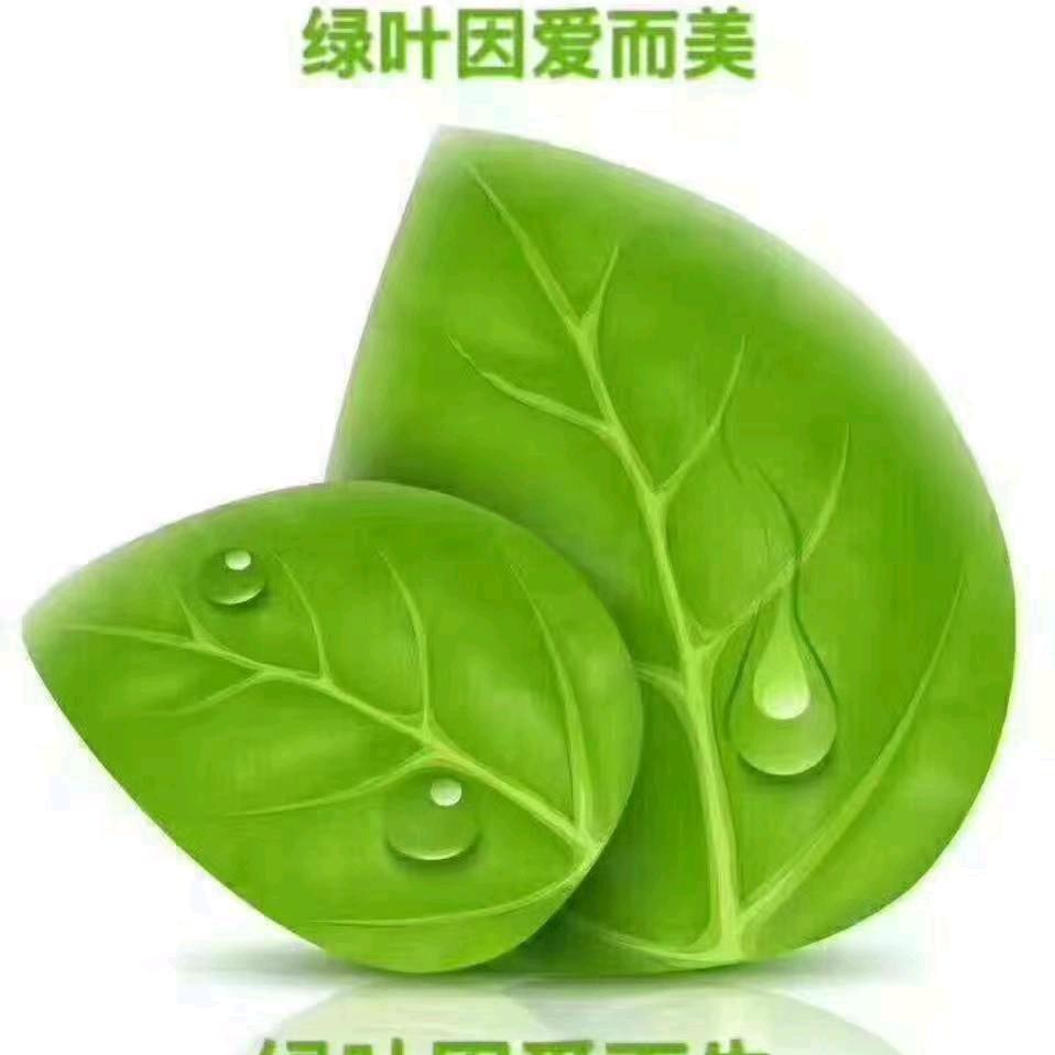 林州旅游团·蔷薇花带你去旅行