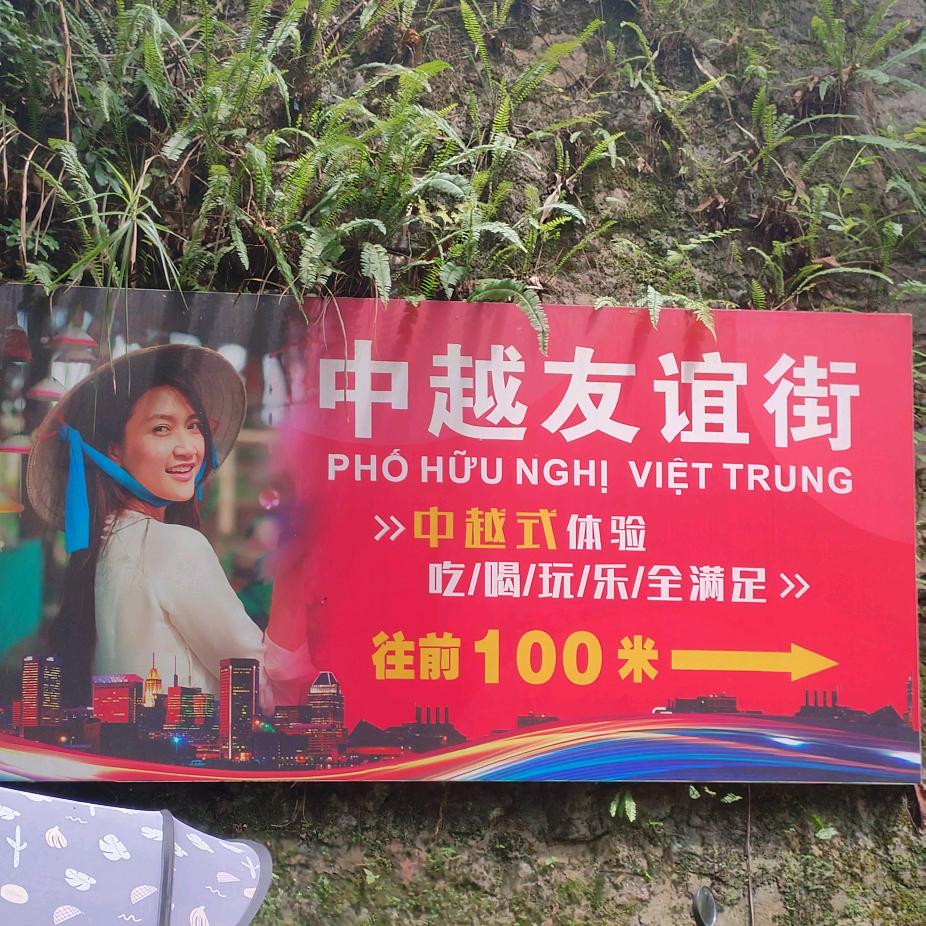 晨曦下的KING