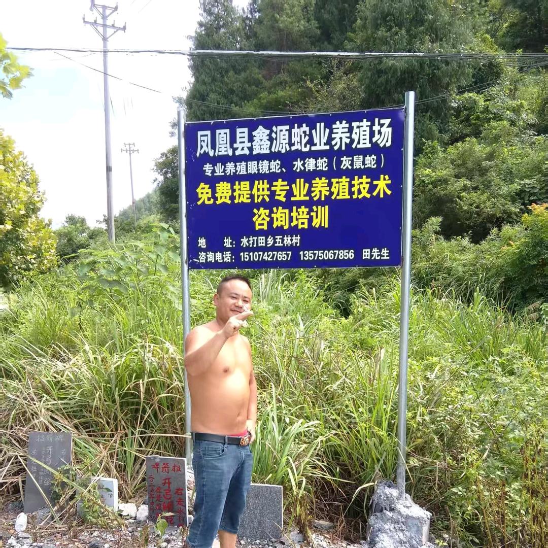 凤凰鑫源🐍养殖场