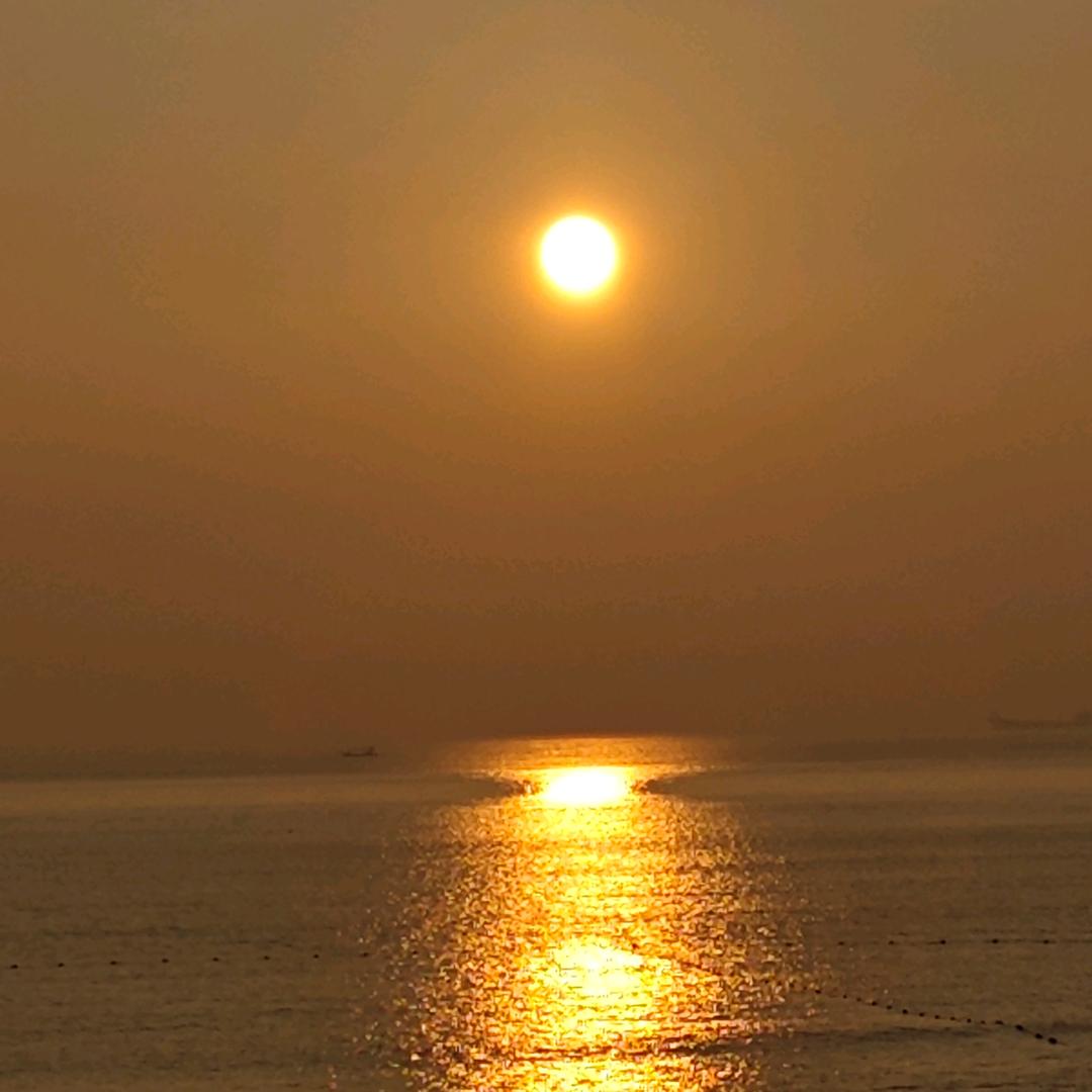 与卿