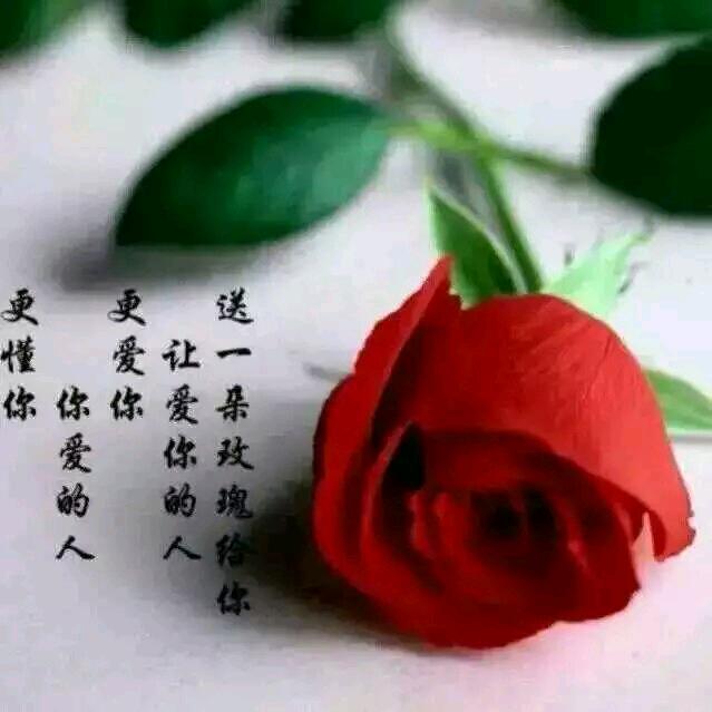 ໑ຼₒ₂₅ღ᭄唐三少🕊꧔ꦿ᭄