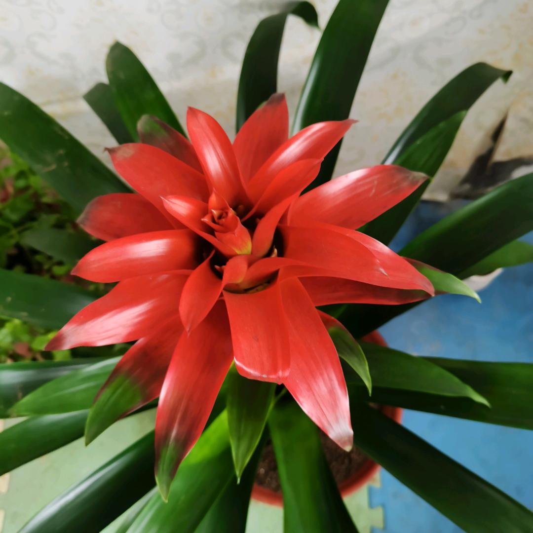 爱&梦冉宇&