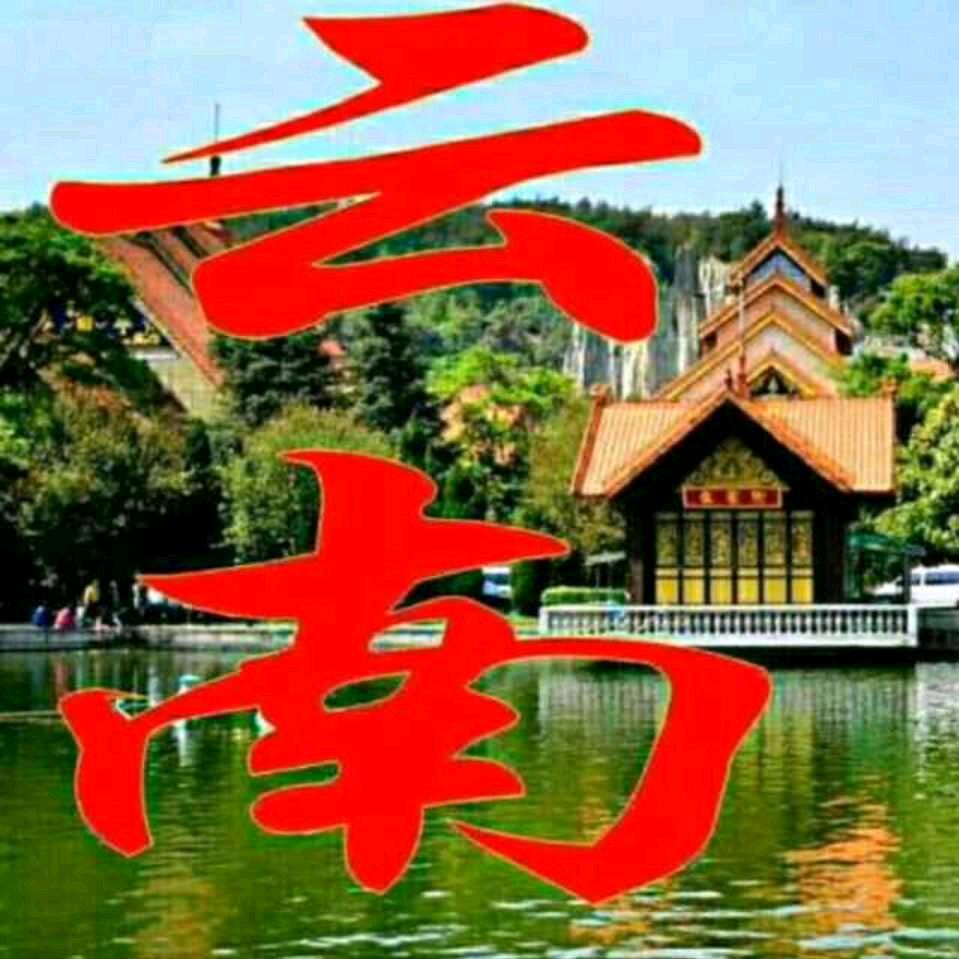 风雨彩虹