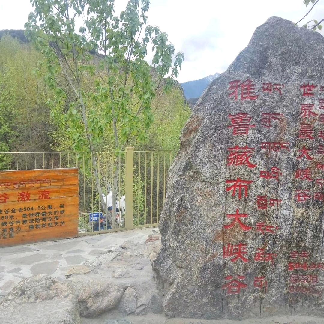 翱翔蓝天
