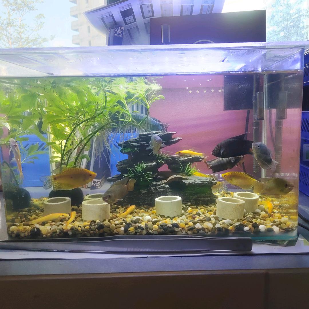 承接装修工程
