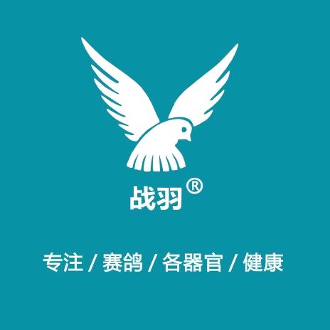 专注赛鸽鸽保健