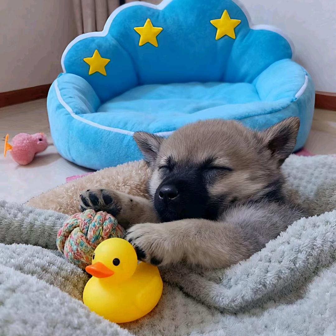 生活很苦自己加糖