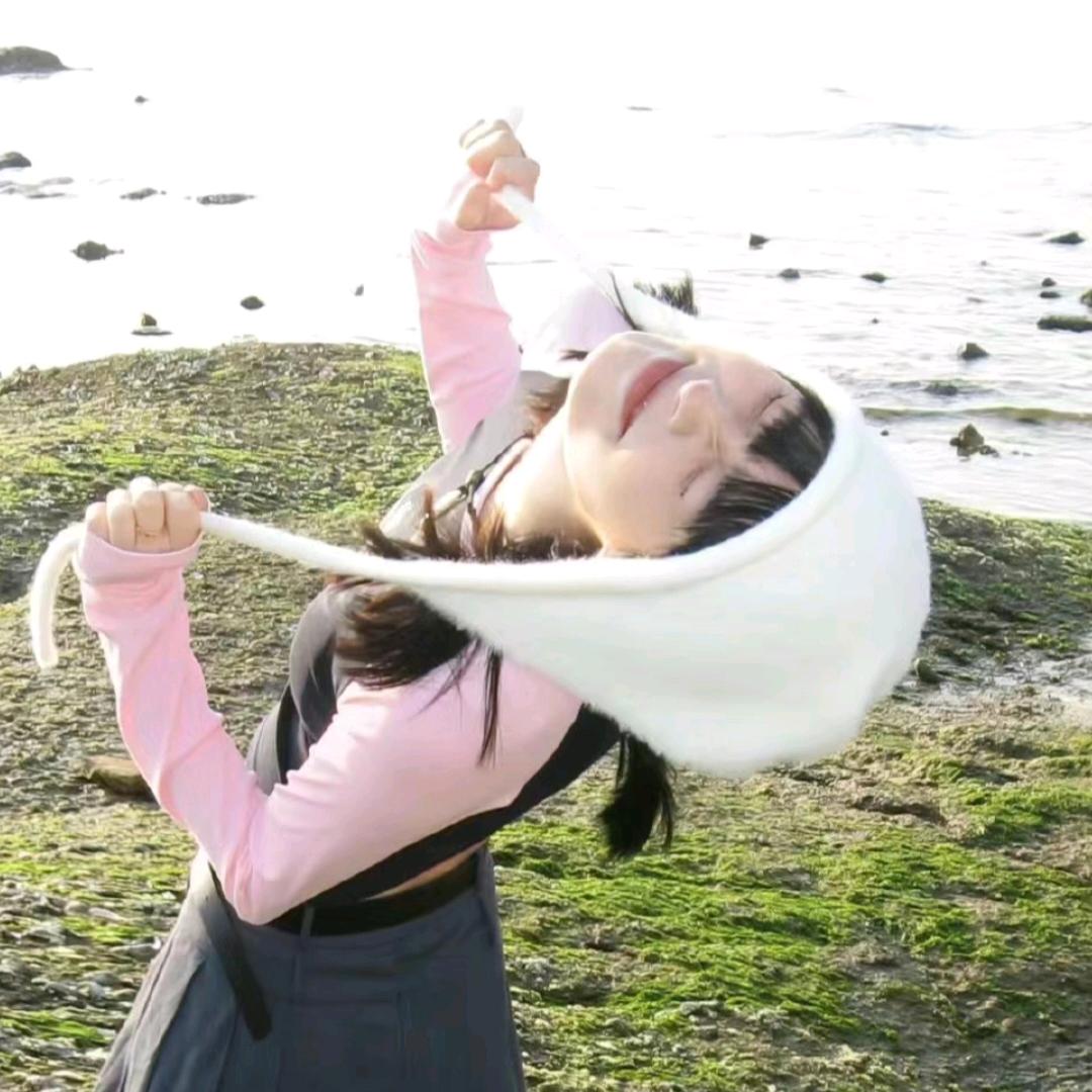 诗桉