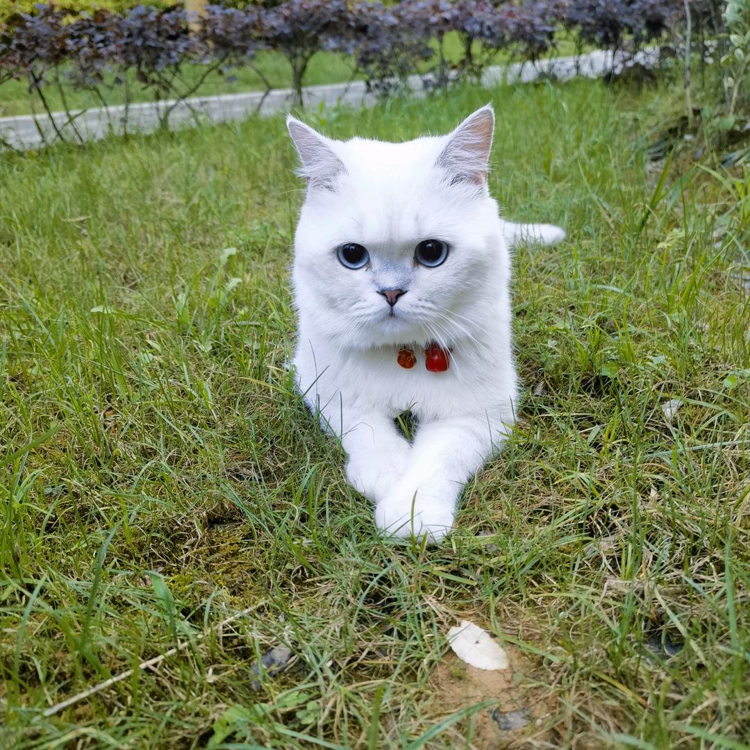 ღ᭄留白🦋꧔ꦿ᭄