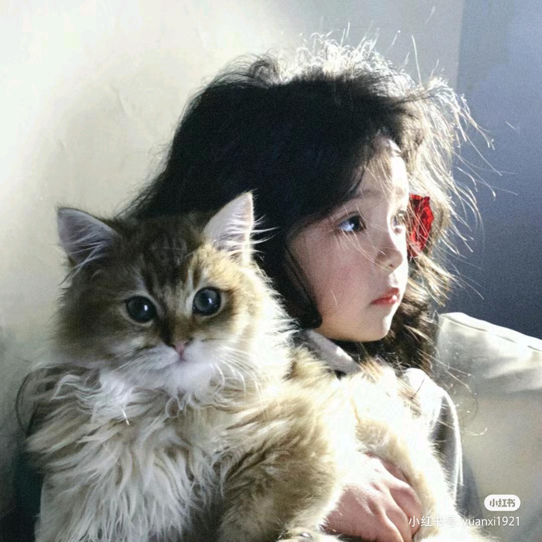 呆桃DAYTOY（唯）