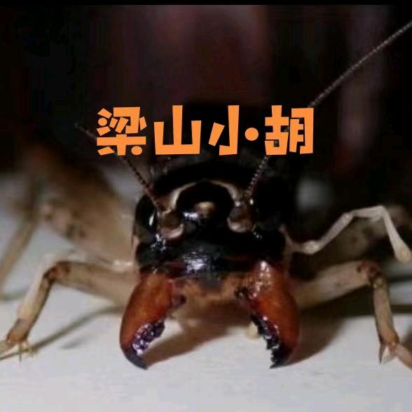 梁山小胡蛐蛐