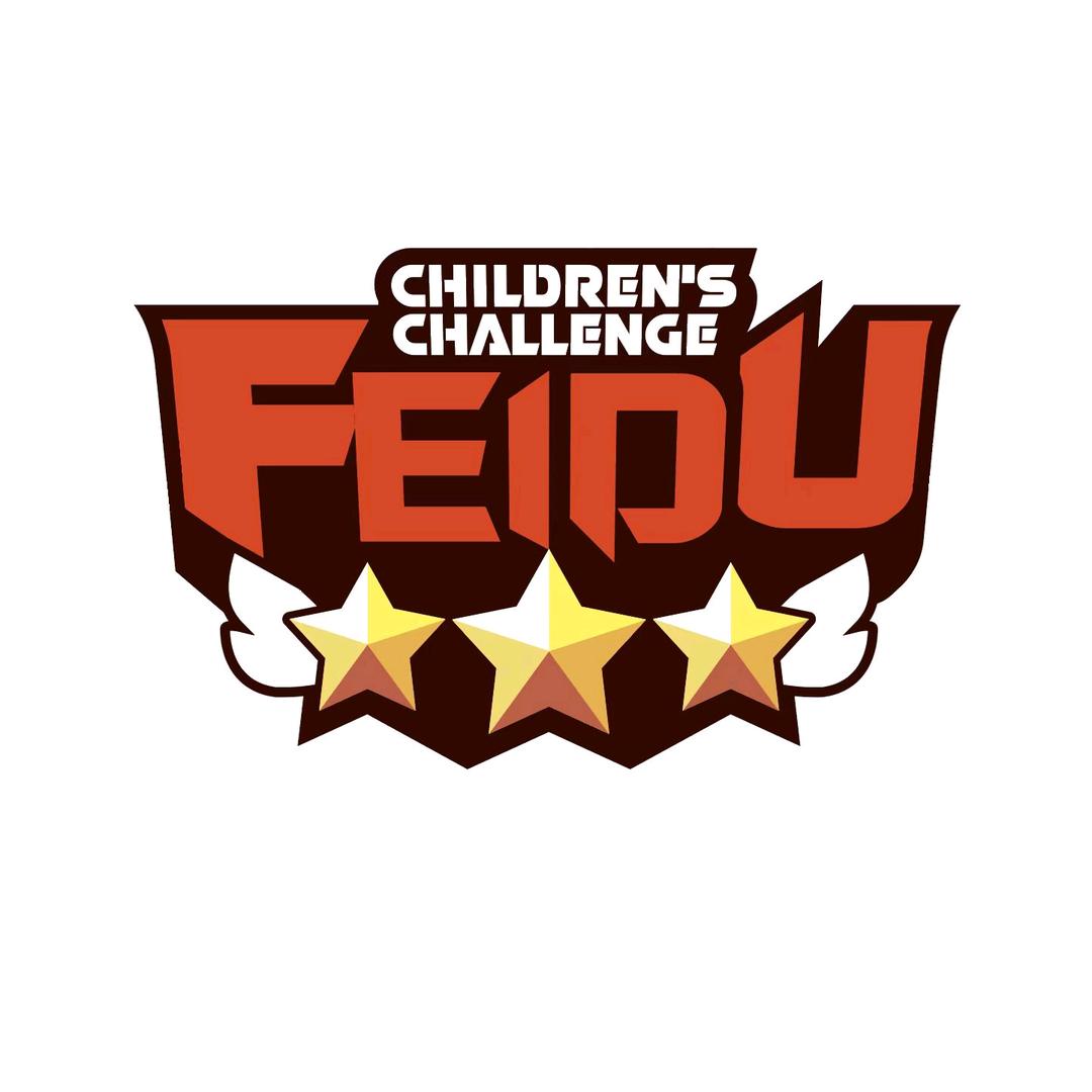 FEIDU儿童攀爬塔