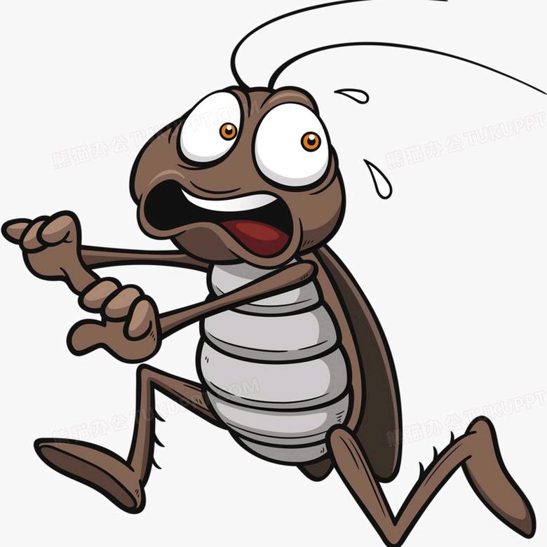 绿色天使（上门服务灭蟑螂大王）