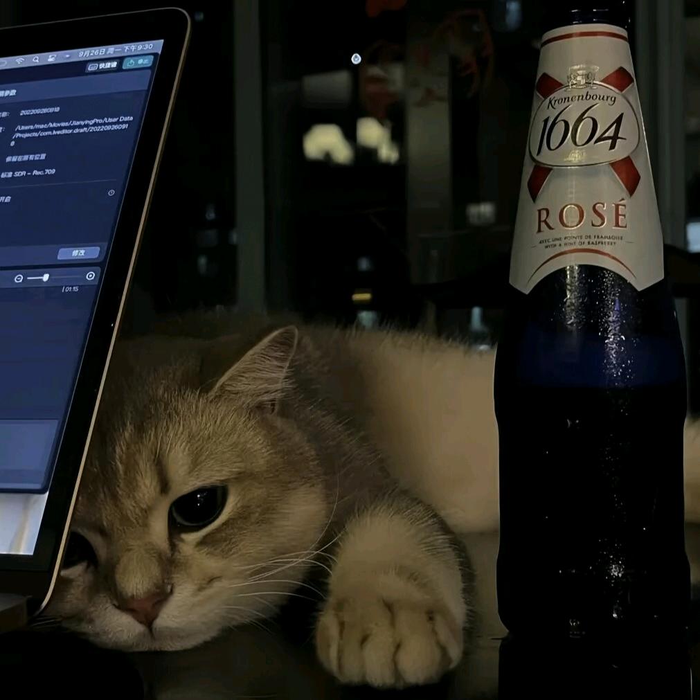 十七(暗区突围PC)