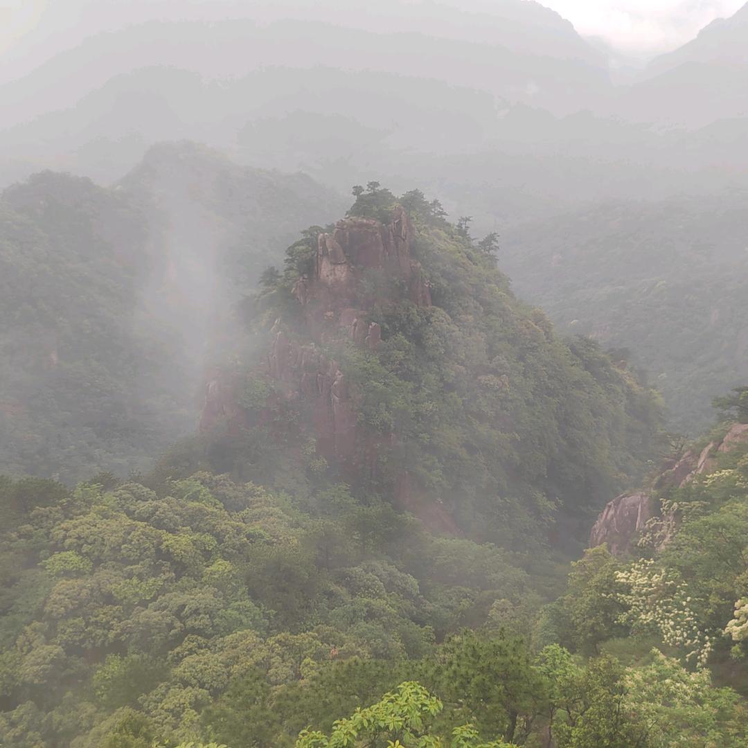 与光同尘