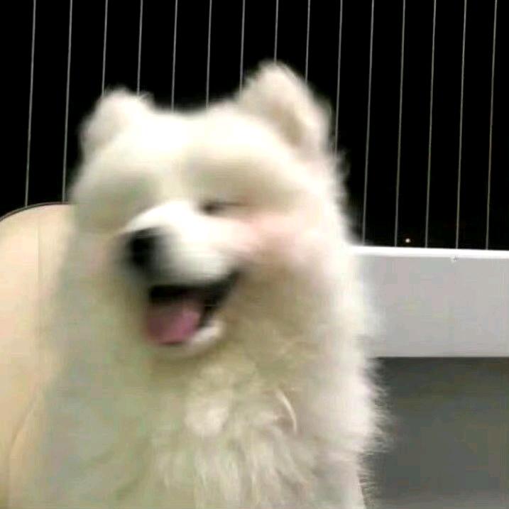 还没想好起什么名字