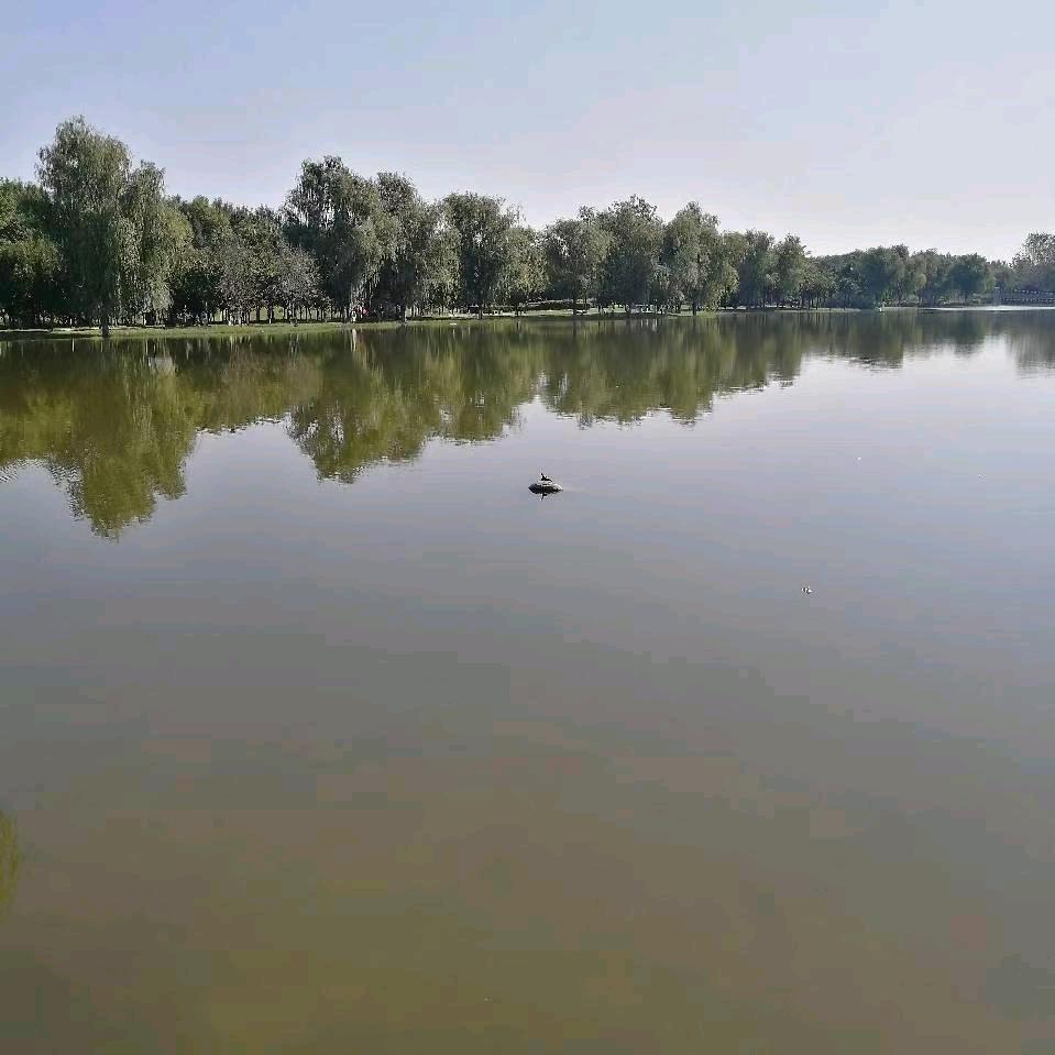 用户9261731059154独自前行