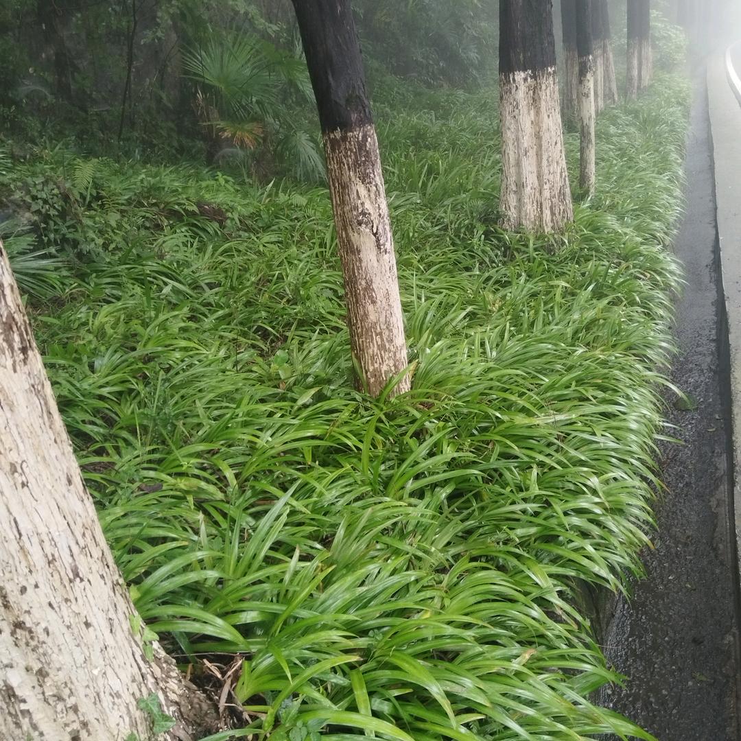 难忘的伤痕