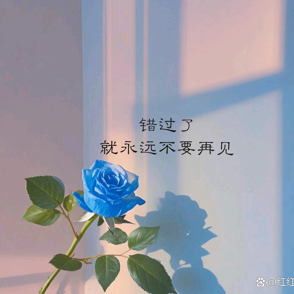 幸福刚刚好