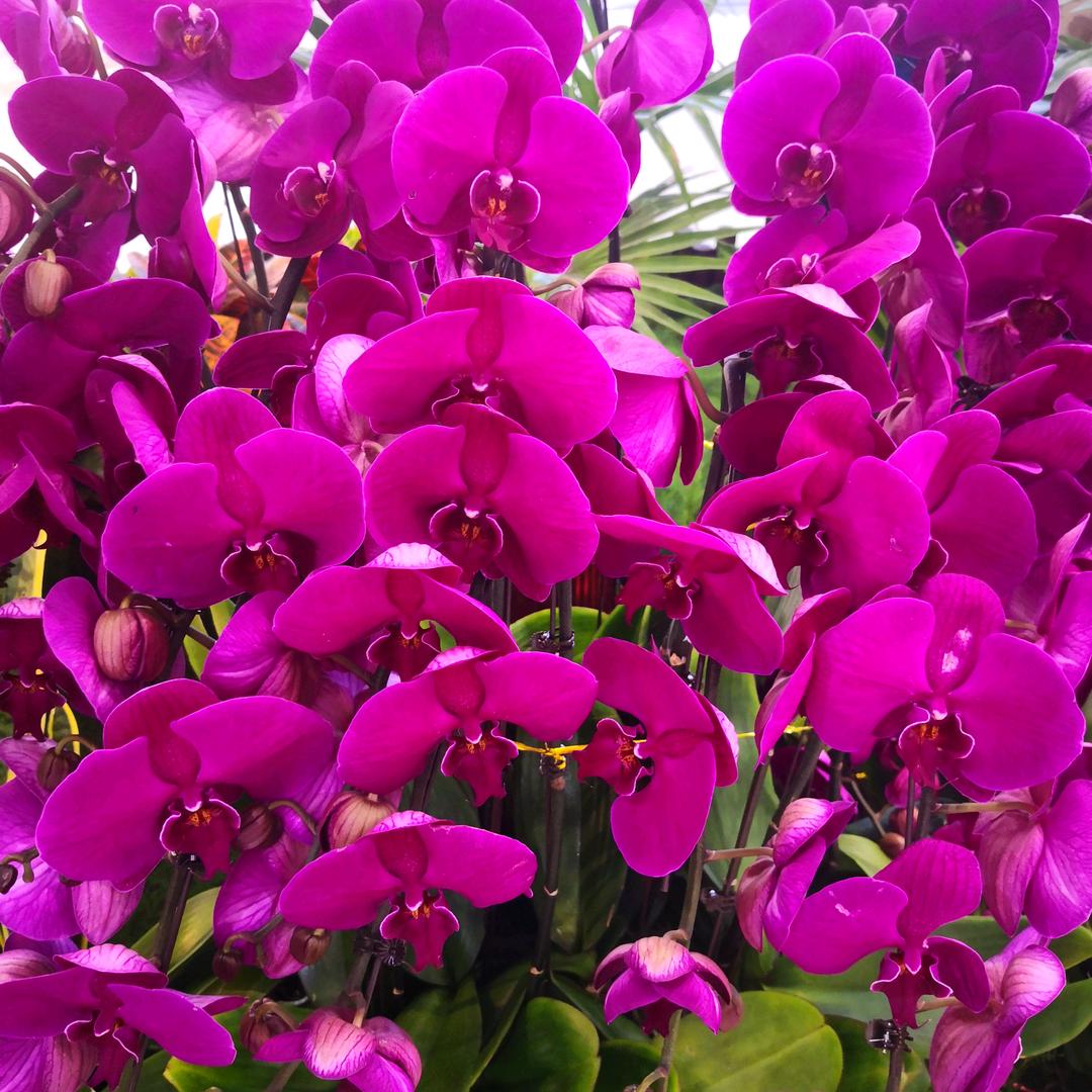 辛福就是那么简单