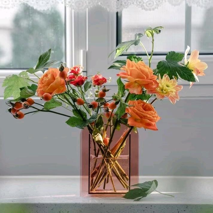 向日葵🌻