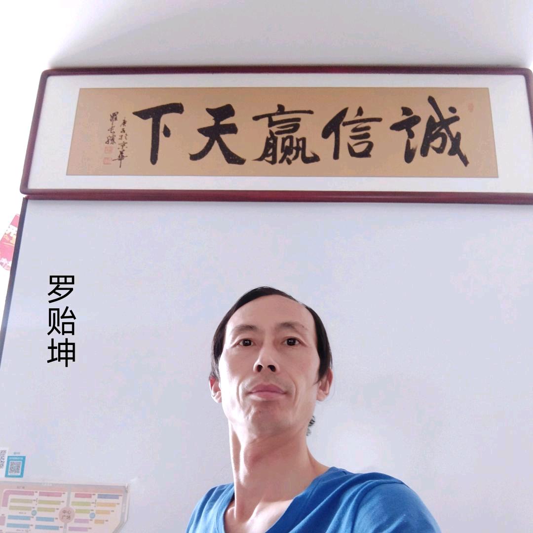 罗记水电