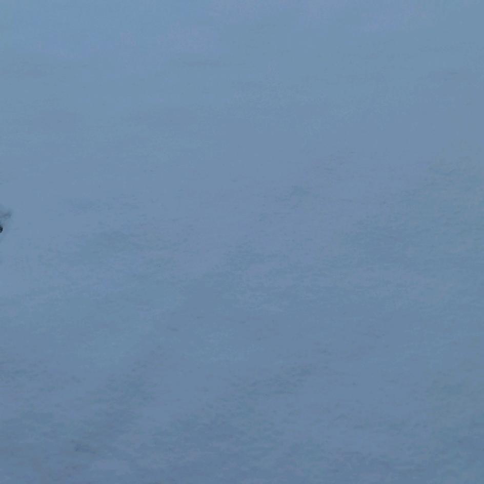 河有两岸，人有两面