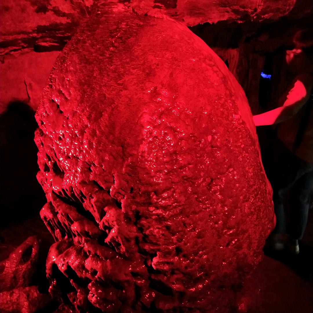 新都区