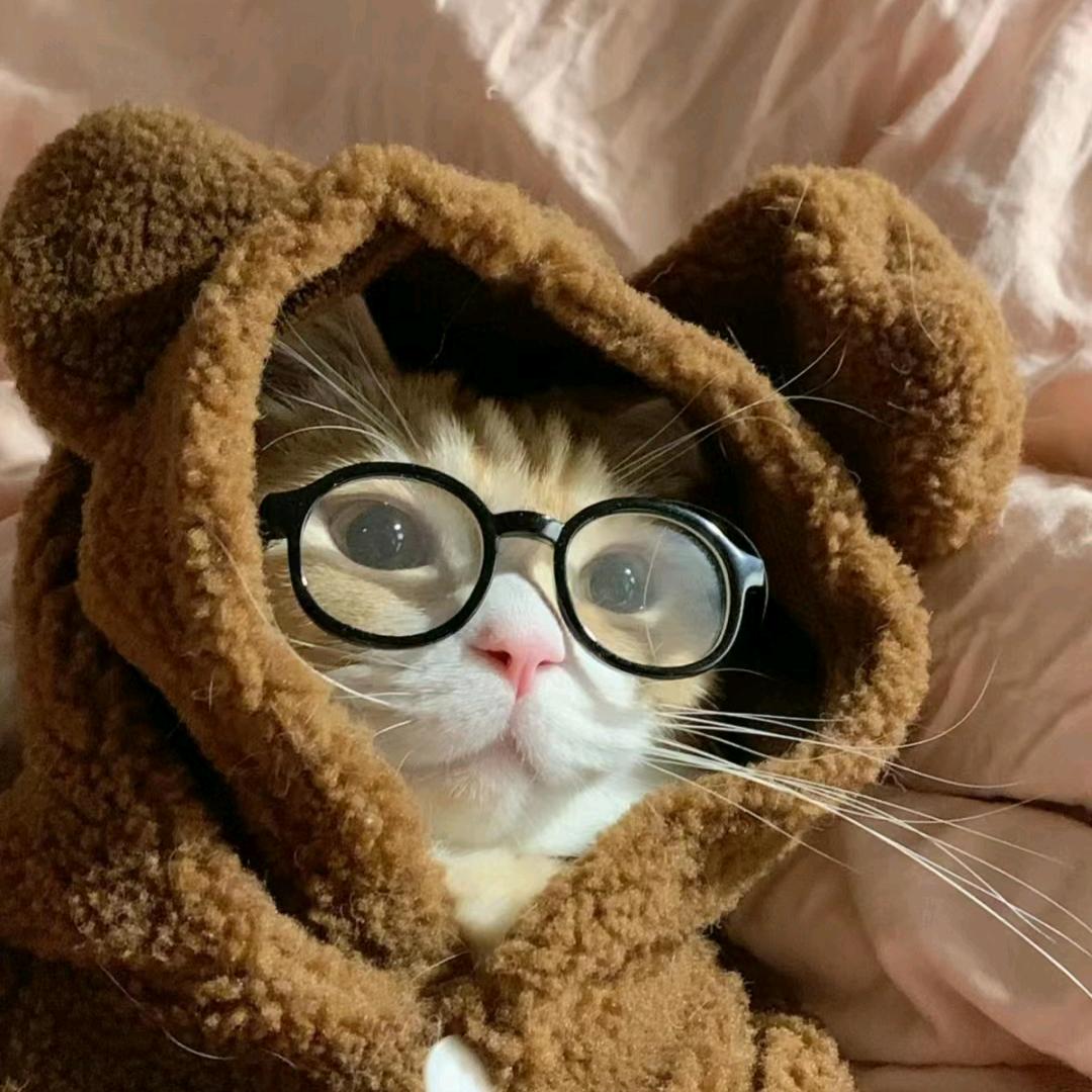 普林奕奕