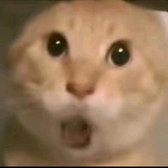 小哈基米（等待过年中）