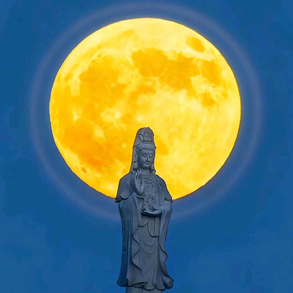 梦里加糖有点甜💞