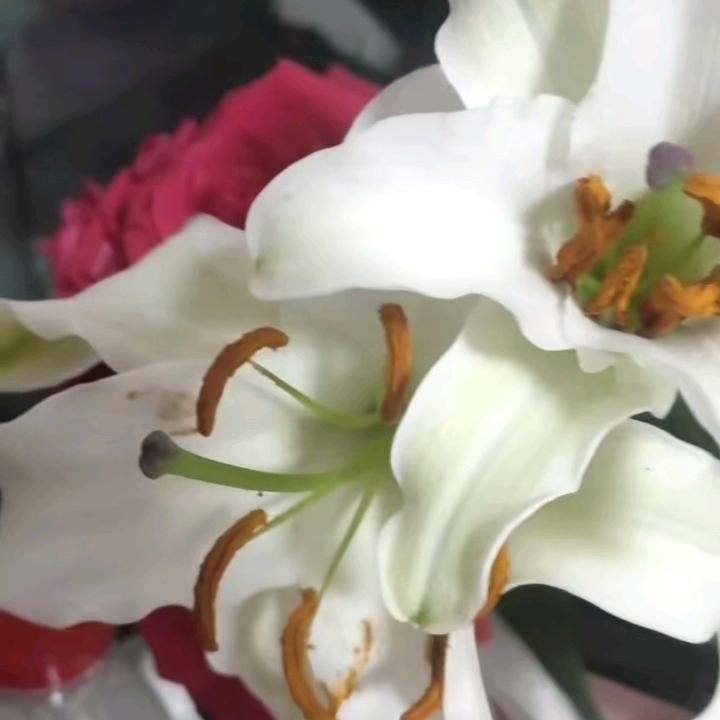 抽烟只抽煊赫门，一生只爱一个人