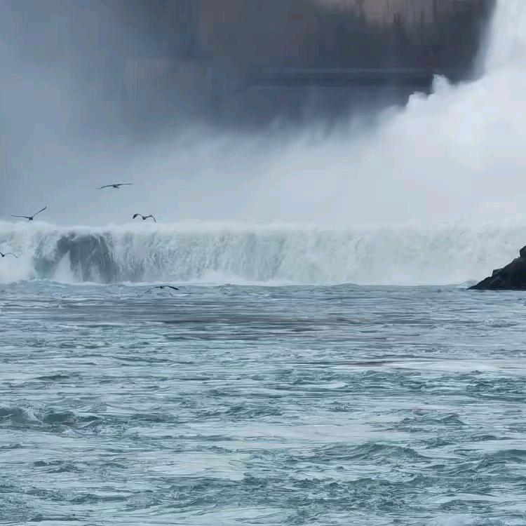 人生短短几十年，要开心每一天