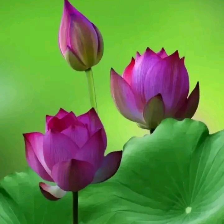 小辣妹💓💓蓉蓉