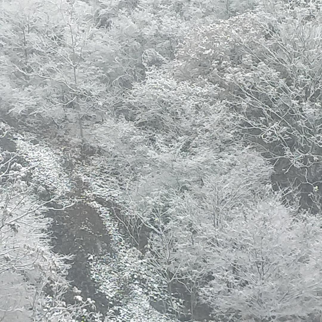 货拉拉单身小哥哥