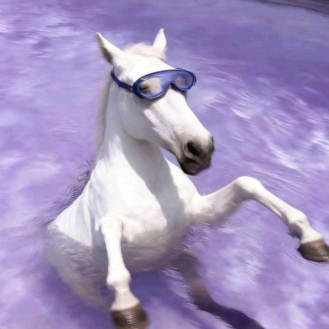 小祺的葡萄汽水Qa