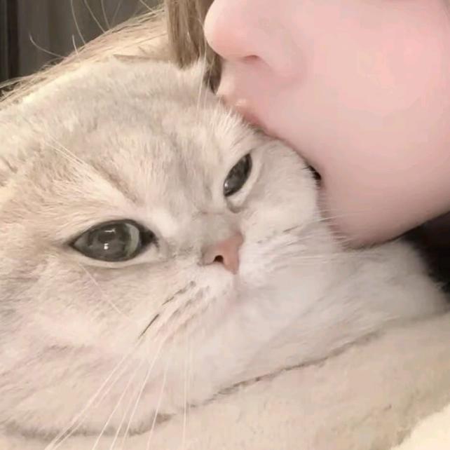 莫凡