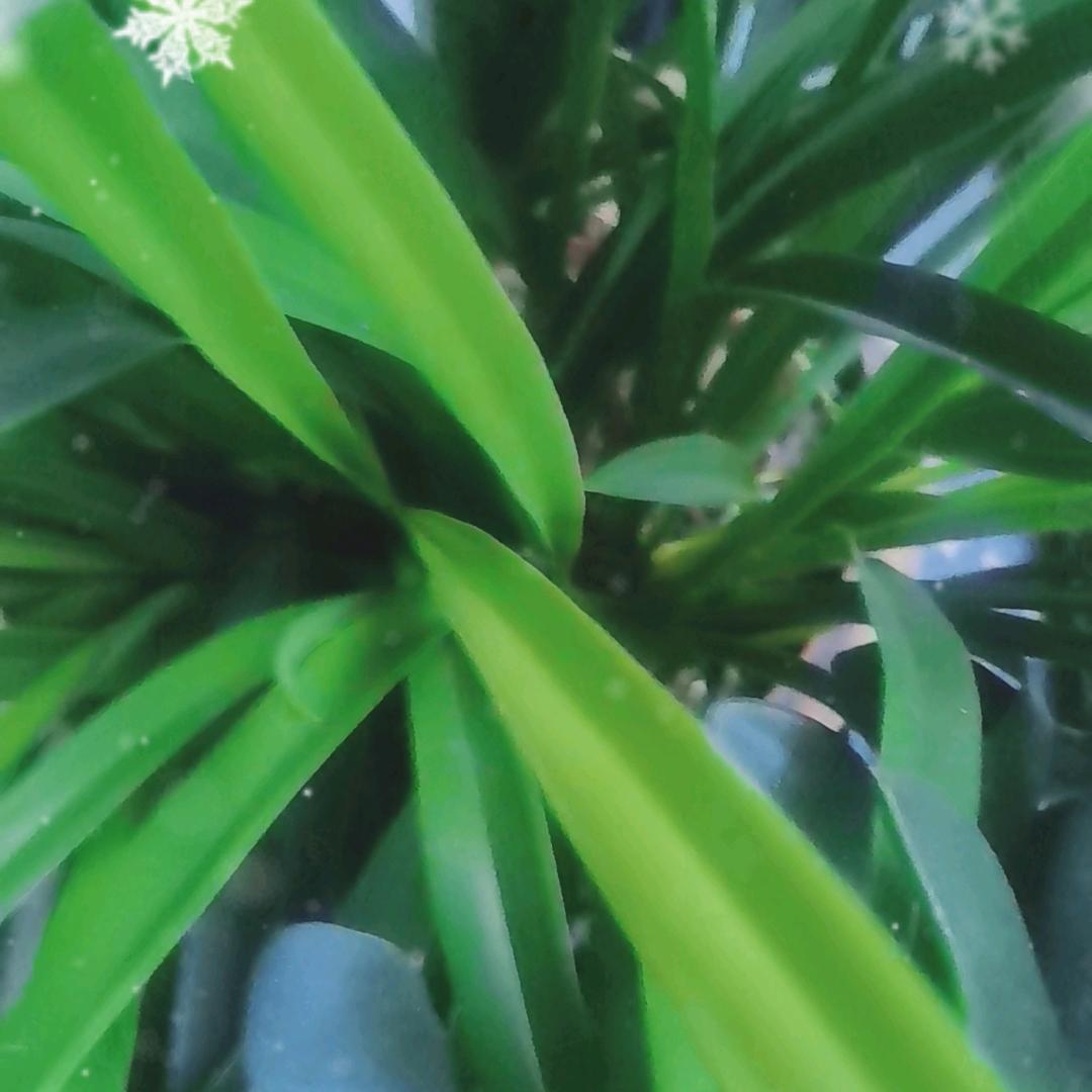 雨过天晴