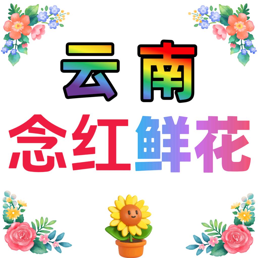 云南念红鲜花