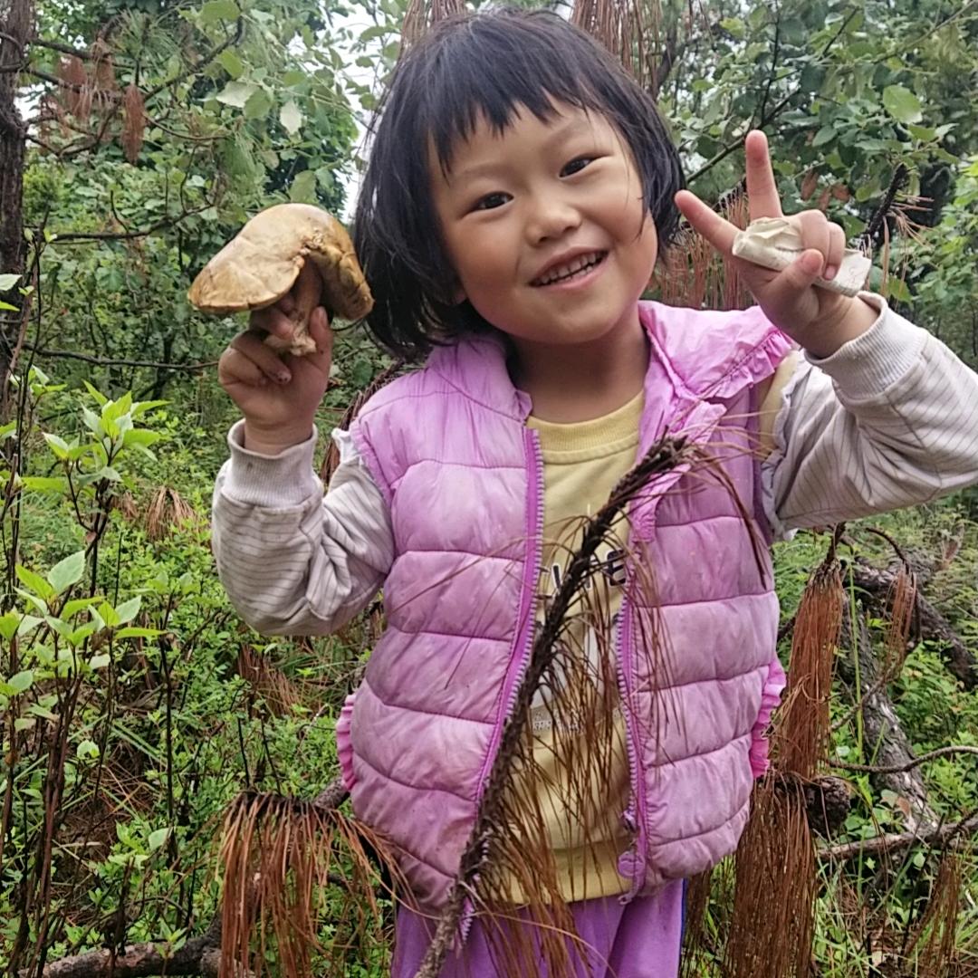 小坤秀的快乐生活