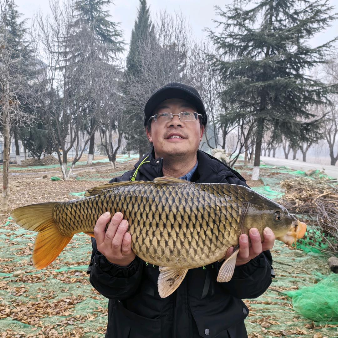 鄠邑·大胖鱼🐠 ⁸¹¹