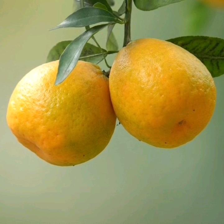 岁月静好往事随风。