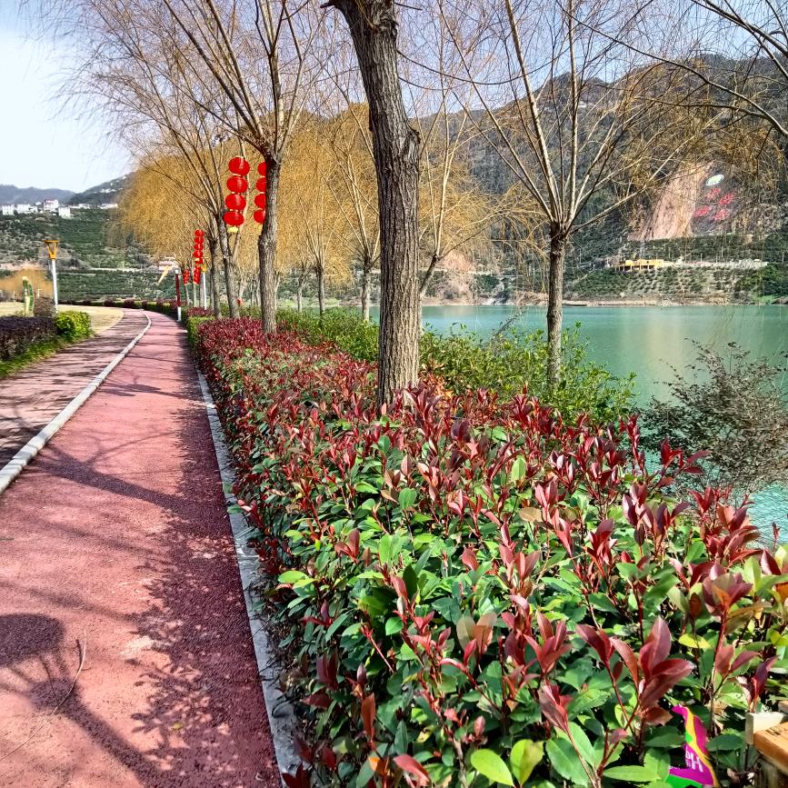 一生平安☘️🌷🌸🌿🌲