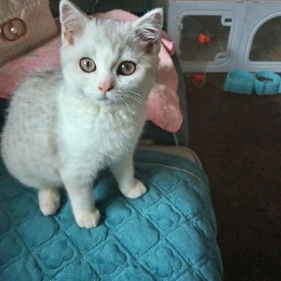 美好时光在路上