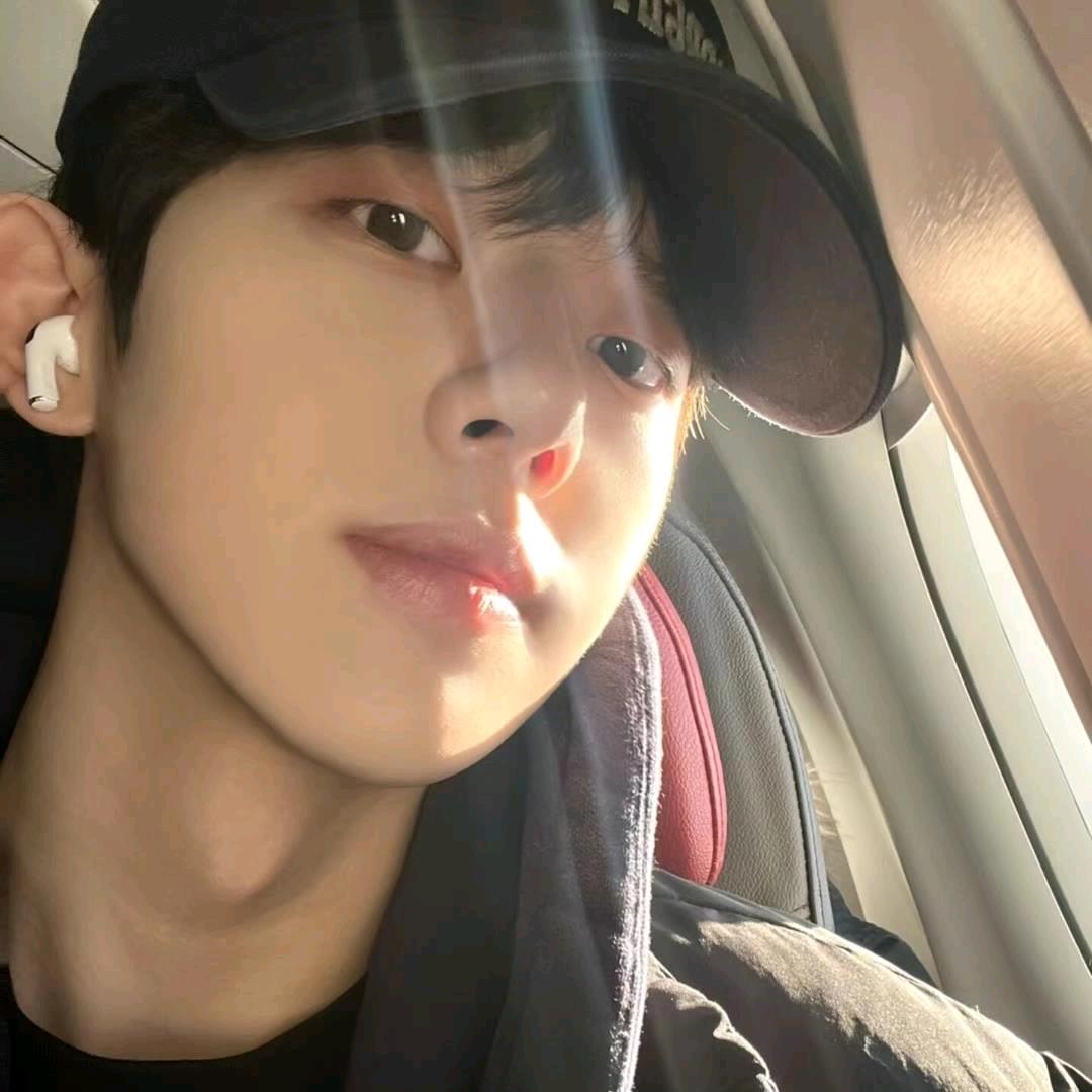 秋ㅤ🔪ㅤ鱼🦈