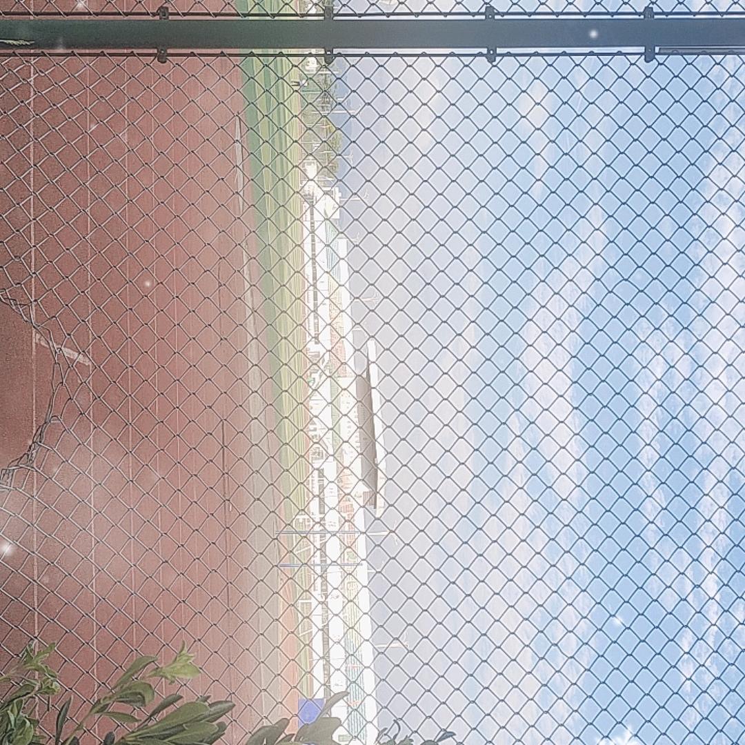 专属于我的九号