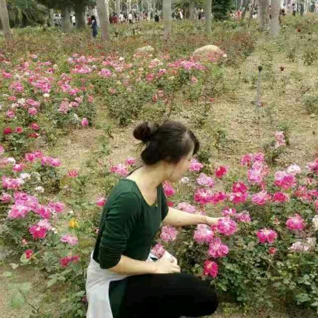 杨咩咩