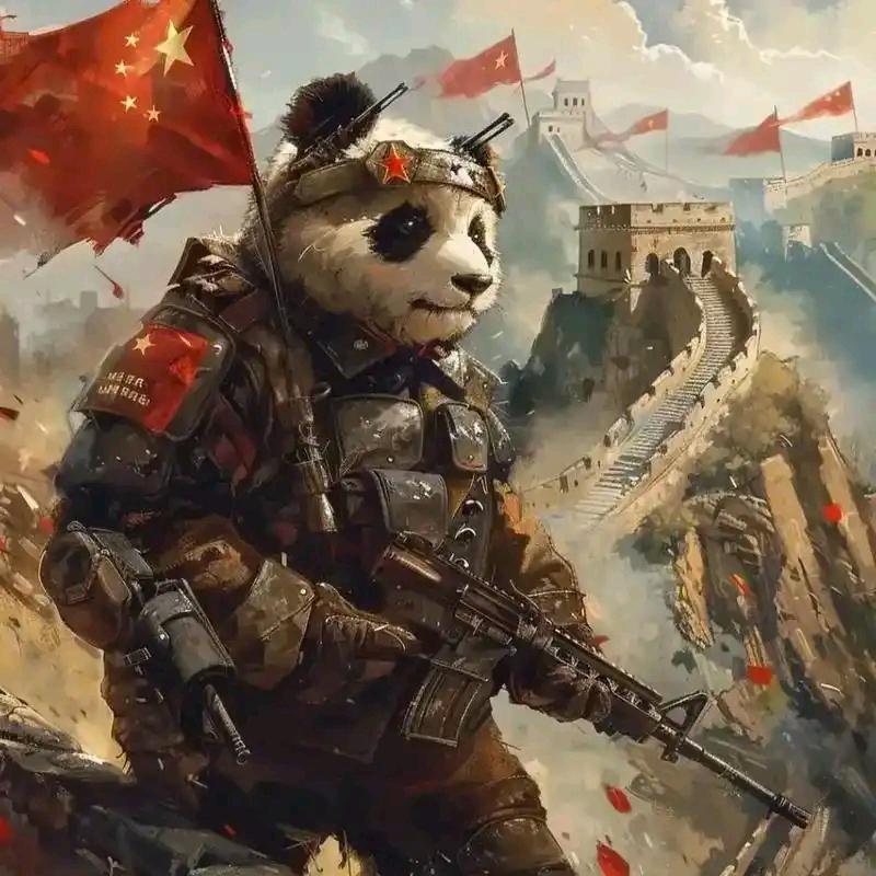 听风的蝉
